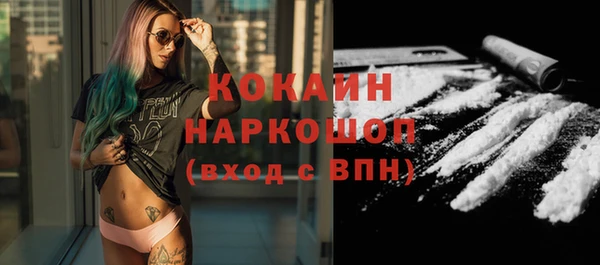 спиды Гусев
