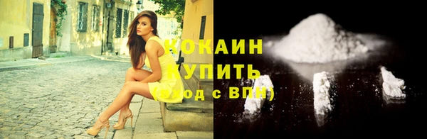спиды Гусев