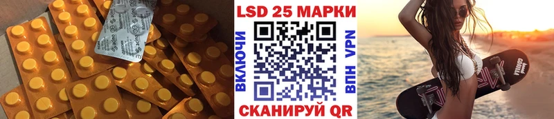 как найти наркотики  Поворино  Лсд 25 экстази ecstasy 