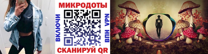 Псилоцибиновые грибы Psilocybine cubensis  Поворино 
